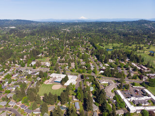 Obraz premium Suburb of a big city, many houses and areas, top view