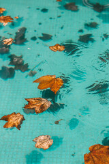 Fototapeta na wymiar drrops and leaves on the cristaline swimming pool