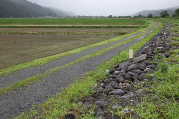 田舎の風景