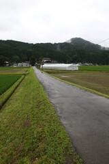 田舎の風景