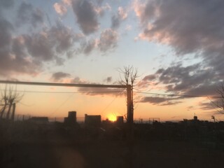 Naklejka premium 青春の場