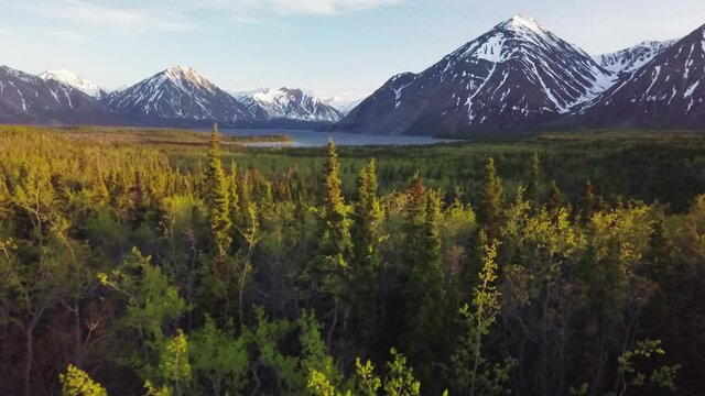 Scenic summer backward flight above evergreen forest trees and vegetation with Kathleen lake and snow capped Dalton mountain range in background, Yukon, Canada, overhead aerial pull back