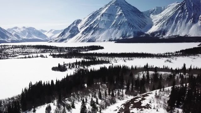 Sensational Scenic Winter Flight Above Forest Trees And Pristine White Snow On Ground Towards Magnificent Rocky Snow Capped Mountains, Kathleen Lake, Yukon, Canada, Overhead Aerial Approach