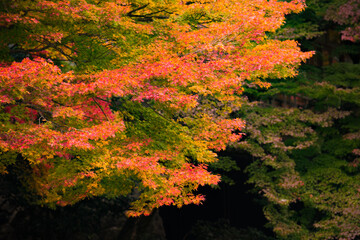 京都　嵐山　紅葉