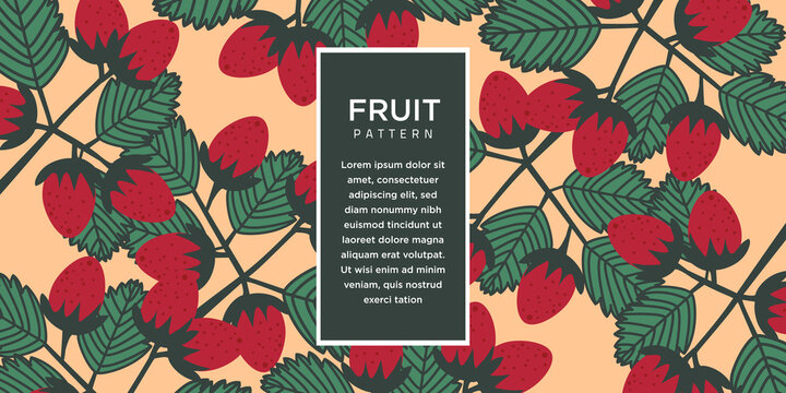 Fruit Illustration Background