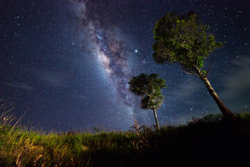 Beautiful nightscape with Starry and Milky Way Galaxy rising in Kudat Sabah North Borneo. Image...