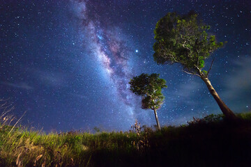 Beautiful nightscape with Starry and Milky Way Galaxy rising in Kudat Sabah North Borneo. Image...