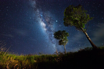 Beautiful nightscape with Starry and Milky Way Galaxy rising in Kudat Sabah North Borneo. Image...