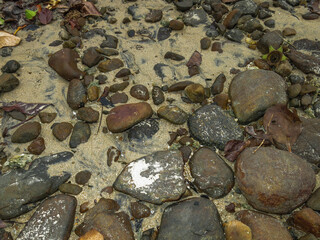 The rocky sand at beach in Malaysia