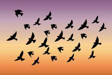 A flock of birds at sunset. Vector abstract silhouette of flying birds. Pattern of sunrise and geese or ducks. Free wildlife for hunting. Stock Photo.