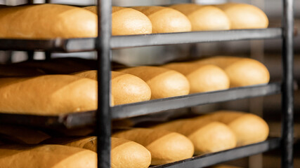 Baked breads on automatic production line bakery from hot oven