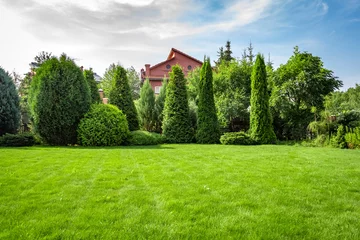 Fotobehang Vers gemaaid gras in de achtertuin van een woonhuis. © sv_production