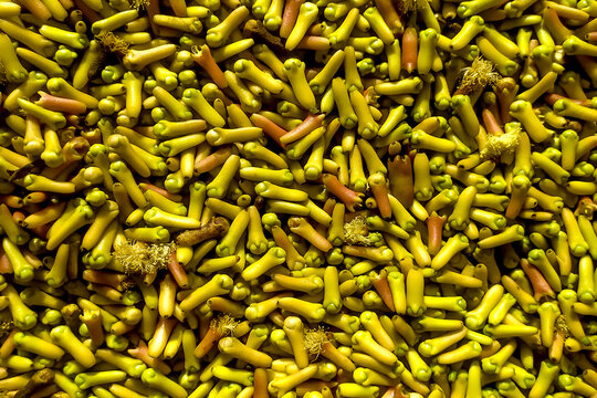 green clove background
