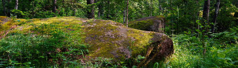  Moss on the rocks. Stolby national park in Krasnoyarsk. Forest and a large stones with green moss. Siberian nature landscape.