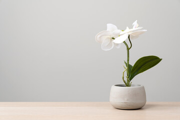 Isolated artificial potted flower plant on wooden desk - Powered by Adobe