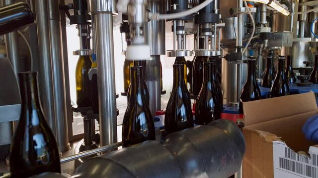 Putting stopper on filled up wine bottles.