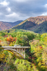 【宮城県 鳴子峡】見頃時期の紅葉