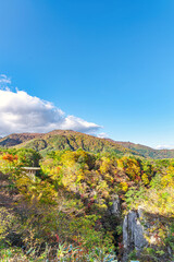 【宮城県 鳴子峡】見頃時期の紅葉