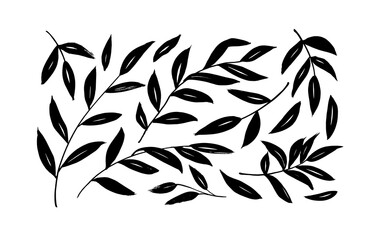 Brush branches with long leaves vector collection. Set of black silhouettes leaves and branches. Hand drawn eucalyptus foliage, herbs, tree twig. Vector ink elements isolated on white background. 
