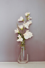 white flowers in a vase