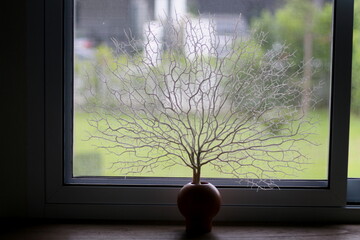 tree in the window