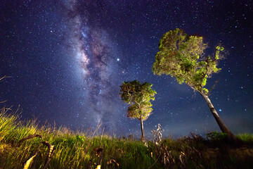Beautiful nightscape with Starry night and Milky Way Galaxy rising in Kudat Sabah North Borneo. 
