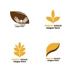Grain wheat logo concept, Agriculture wheat Logo Template vector icon
