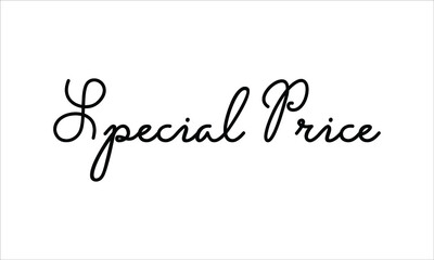 Special Price Hand written script Typography Black text lettering and Calligraphy phrase isolated on the White background 