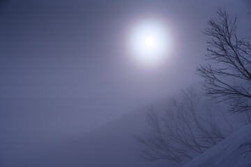 冬の霧
