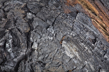 black charcoal texture macro