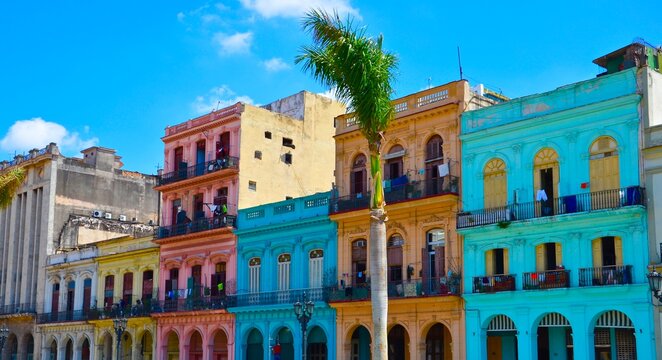 Havana, Cuba, colorful colonial houses, blue sky background, palm tree in front