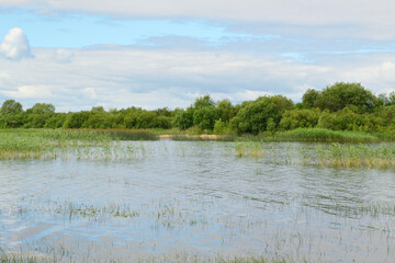 Colorful summer water landscape with soft focus.