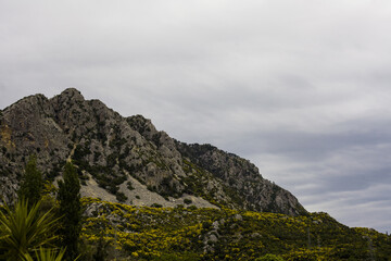 Fototapeta na wymiar Mountains with trees in cloudy weather