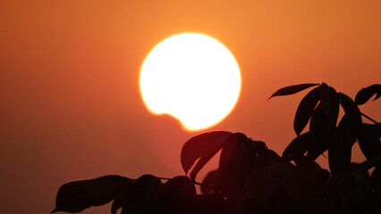 atardecer y el sol