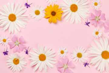 Fototapeta na wymiar Garden flowers frame over pink