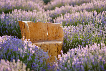 Rustic chair in lavender