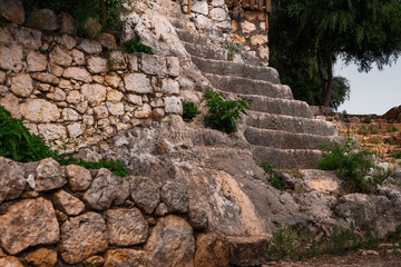 Fototapeta na wymiar Ancient stone staircase in the bushes