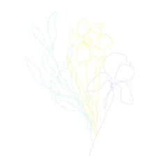 Decorative hand drawn daffodil and iris flowers, design elements. Can be used for cards, invitations, banners, posters, print design. Continuous line art style