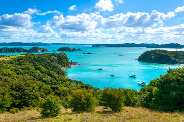 Fototapeta na wymiar Hiking at Urupukapuka, Bay of Islands near Paihia, New Zealand, Scenic landscape, lush green meadow on hills, small ships, boats and yachts in clear and calm turquoise color waters of harbor and cloud