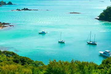 Obraz na płótnie Canvas Bay of Islands near Paihia, New Zealand, Scenic landscape, aerial view of the small ships, boats and yachts in clear and calm turquoise color waters of the Bay of Islands