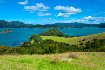 Fototapeta na wymiar Hiking at Urupukapuka, Bay of Islands near Paihia, New Zealand, scenic landscape, lush green meadow on hills, blue ocean water of harbor and clouds in the sky