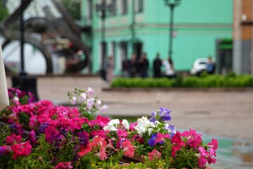 Photo of a flower garden in shades of red against the background of city streets. The background is very blurry.