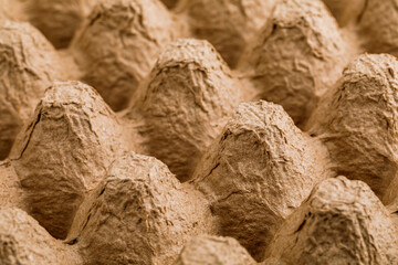 An empty egg box. Container for transporting and carrying fragile bird eggs. Container for food packaging.