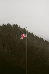 Fototapeta premium american flag in the wind