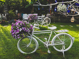white bicycle in the garden
