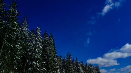Fototapeta na wymiar Carpathian mountains mountain range pine forests coniferous mountain tops winter snow aerial photography