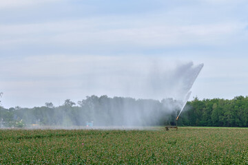 irrigation of crops from the device to water the fields in the background, in the Netherlands