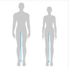 Women and men to do legs length measurement fashion Illustration for size chart. 7.5 head size girl and boy for site or online shop. Human body infographic template for clothes. 