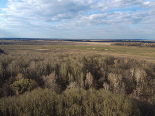 Fototapeta premium Leafless spring forest, aerial view. Forest terrain.