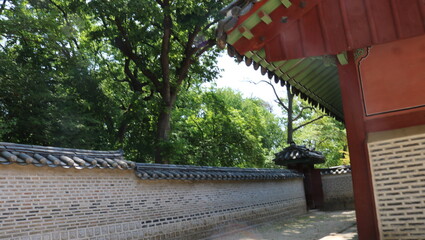 people walking in the park